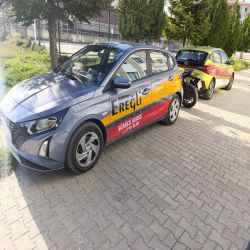 B-OTOMATİK FİLOMUZ
